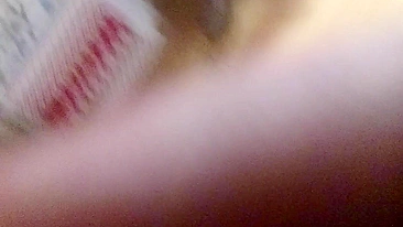 Homemade Threesome with MILF and Swingers