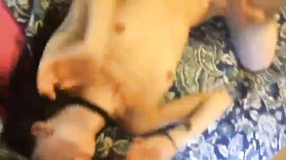College Slut Wild Threesome with Friends #Wife, #3some
