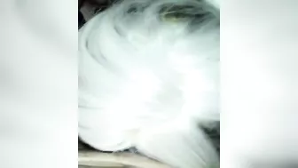 Blonde Threesome Creampie Amateur Group Sex Homemade