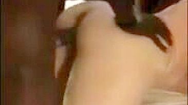 Interracial Wife Gangbang with BBC and Swingers