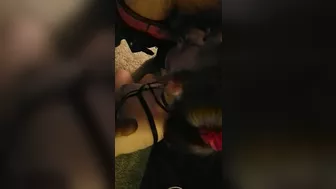 Married Slut Wild Threesome Adventure Married Slut Wild Threesome Adventure