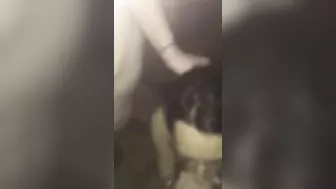 Amateur Threesome Blowjob Suckfest #Wife, #3some