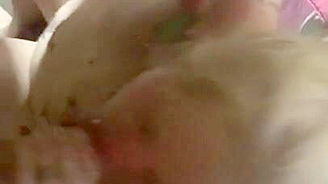 Amateur Wife Double Blowjob Threesome with Two Dicks