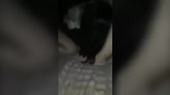 Amateur Bisexual Foursome Orgy Homemade Lesbian Sex Party