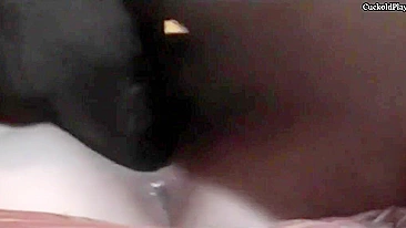 Interracial Cuckold Threesome with BBC and Amateur Couple