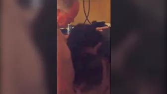 Wild Swinger Wife Group Sex Adventure with Multiple Lovers