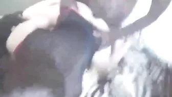 Wife Cuckold Fantasy with Big Black Cock