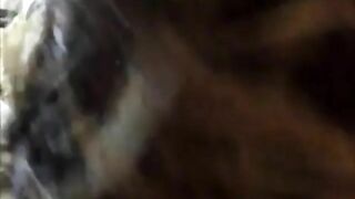 Married MILF Swinger Wife Homemade Threesome with BBC and Cuckold Hubby