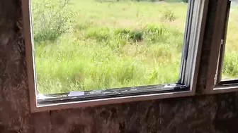 Amateur Threesome Blowjob - FFM Bisexual Group Sucking