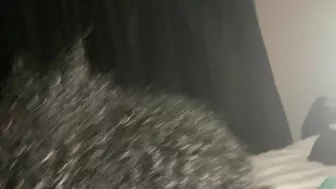 Black Ebony Fucks Two in Amateur Threesome