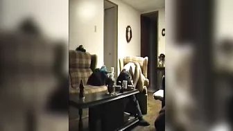 Wife Sharing Hubby Homemade Porn