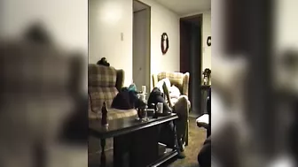 Wife Sharing Hubby Homemade Porn