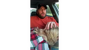 Husband receives a blowjob in car from wife while driving