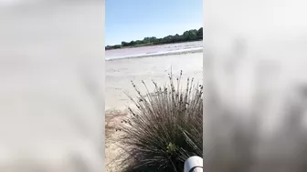 Wife's Daring Beach Oral Sex, So Taboo!