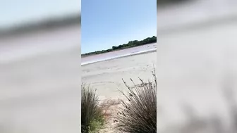 Wife's Daring Beach Oral Sex, So Taboo!