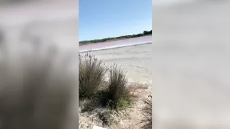 Wife's Daring Beach Oral Sex, So Taboo!