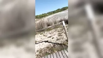 Wife's Daring Beach Oral Sex, So Taboo!