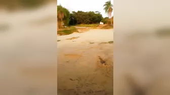 Exhilarating, Daring, And Seductive Hot Wife Running Wild On The Beach