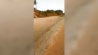 Exhilarating, Daring, And Seductive Hot Wife Running Wild On The Beach