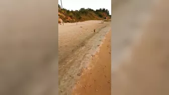 Exhilarating, Daring, And Seductive Hot Wife Running Wild On The Beach