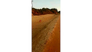 Exhilarating, Daring, And Seductive Hot Wife Running Wild On The Beach