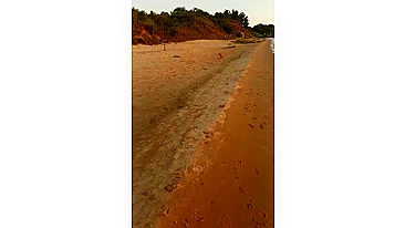 Exhilarating, Daring, And Seductive Hot Wife Running Wild On The Beach