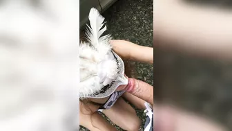 Hot And Steamy Blowjob And Sex By The Car