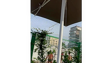 Horny girlfriend with no panties flashing pussy at the terrace