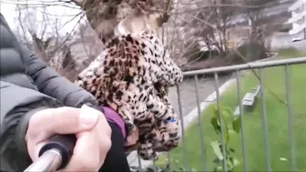 Passionate, Daring German Duo Engage In Steamy, Uninhibited Outdoor Coitus