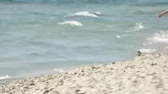 Sexy Nudists Spied On By Horny Voyeur On Spanish Beach