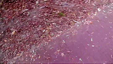 Amateur girlfriend risky blowjob in public park and cumshot on face