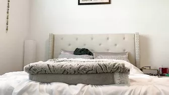 Adorable, Busty, Cunny Coed Coyly Cammed In Her Intimate Sanctuary