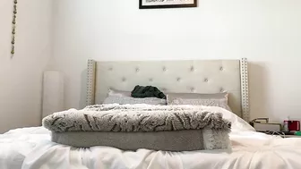 Adorable, Busty, Cunny Coed Coyly Cammed In Her Intimate Sanctuary