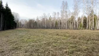 Amateur couple fucking in the woods with creampie finish Amateur couple fucking in the woods with creampie finish