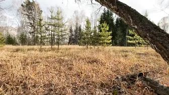 Amateur couple fucking in the woods with creampie finish Amateur couple fucking in the woods with creampie finish