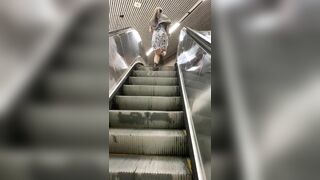 Girlfriend flashing pussy and ass on subway stairs