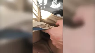 Exhibitionist couple doing sex in public in a ferris wheel - real public exposure and fucking in public video.