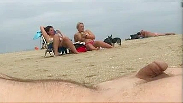 Dick flashing at beach a stranger cums while watching nudist women