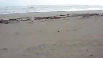 Raunchy Couple Engage In Hasty, Graphic Outdoor Blowjob