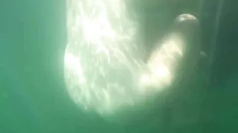 Sultry, Shameless Nudist Wife At The Lake