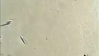 Perverted Beach-Goer Sexually Harasses Nude Sunbather With Disgusting Act