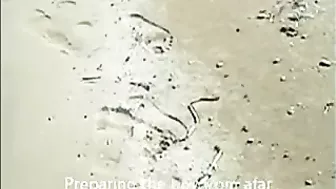 Perverted Beach-Goer Sexually Harasses Nude Sunbather With Disgusting Act