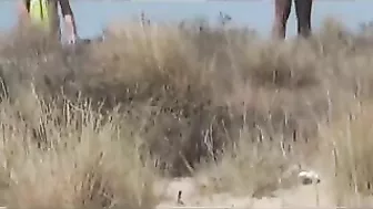 Voyeur Spy Camera Nice Tits Filmed at the Beach