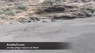 Sensual, Exposed French Wife Enjoying Leisurely Outdoor Seaside Frolic