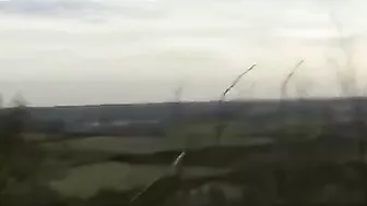 Sensual Brunette Gives Steamy Blowjob Outdoors, Swallowing Cum With Relish