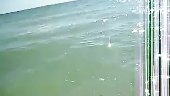 Wife Gives Husband a Handjob at the Beach Wife Gives Husband a Handjob at the Beach