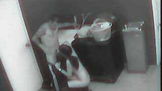 Security Camera Captures Steamy Employees' Sex Act