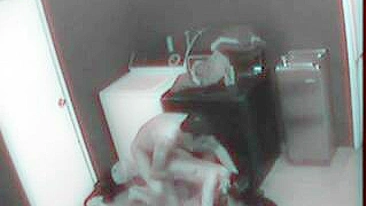 Security Camera Captures Steamy Employees' Sex Act