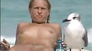 Pervy Cam At Beach Films Nude Chicks