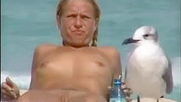 Pervy Cam At Beach Films Nude Chicks